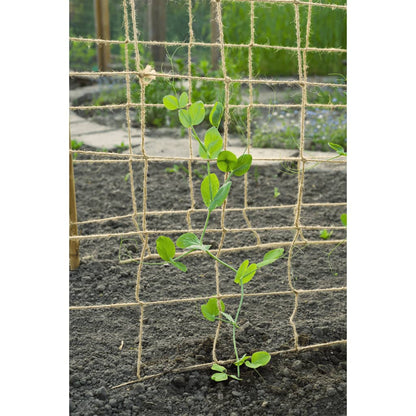 Klimnet voor planten 1x3 m jute naturel