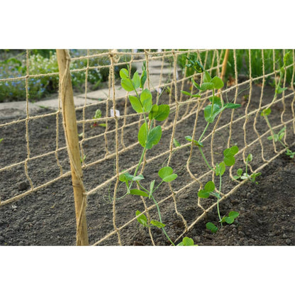 Klimnet voor planten 1,8x5 m naturel