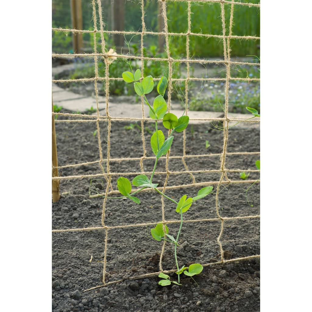 Klimnet voor planten 1,8x5 m naturel