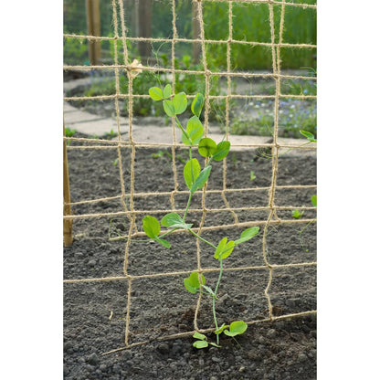 Klimnet voor planten 1,8x5 m naturel