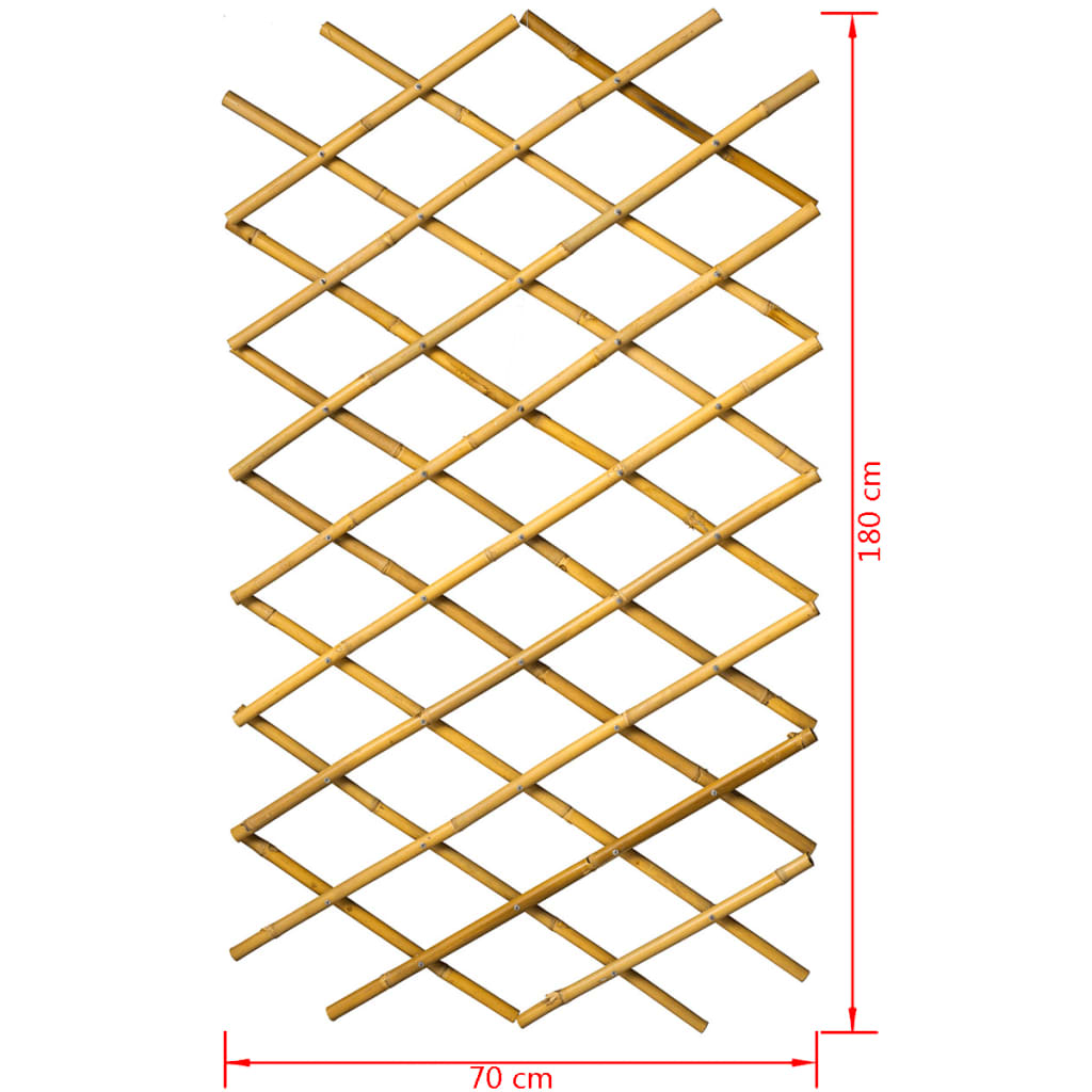 Latwerk voor tuin 70x180 cm bamboe 6040721