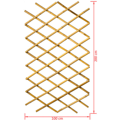 Latwerk voor tuin 100x200 cm bamboe 6040722