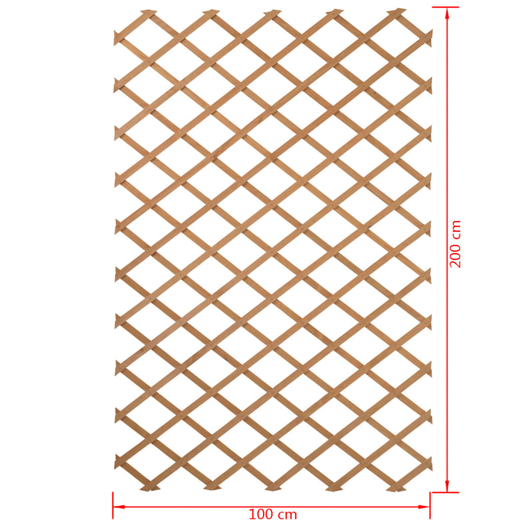 Latwerk voor tuin 100x200 cm natuurlijk hout 6041703