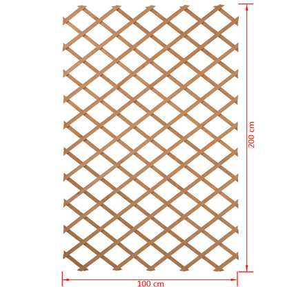 Latwerk voor tuin 100x200 cm natuurlijk hout 6041703