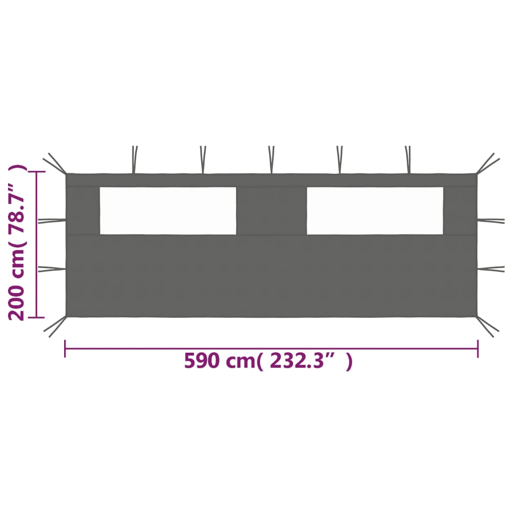 Prieelzijwand met ramen 6x2 m antracietkleurig