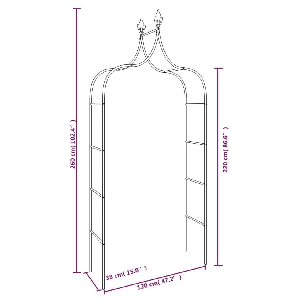 Tuinbogen 2 st 120x38x260 cm staal zwart