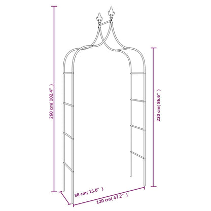 Tuinbogen 2 st 120x38x260 cm staal zwart