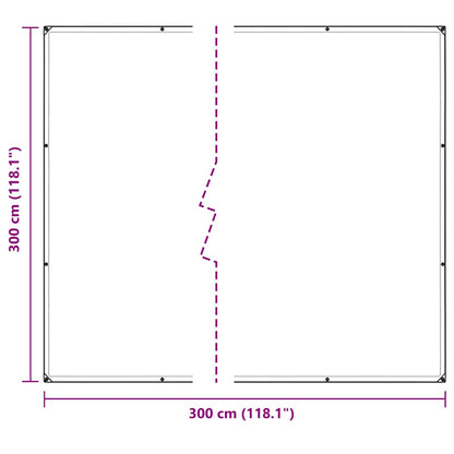 Doorzichtig zeildoek met zeilringen 3x3 m polyethyleen