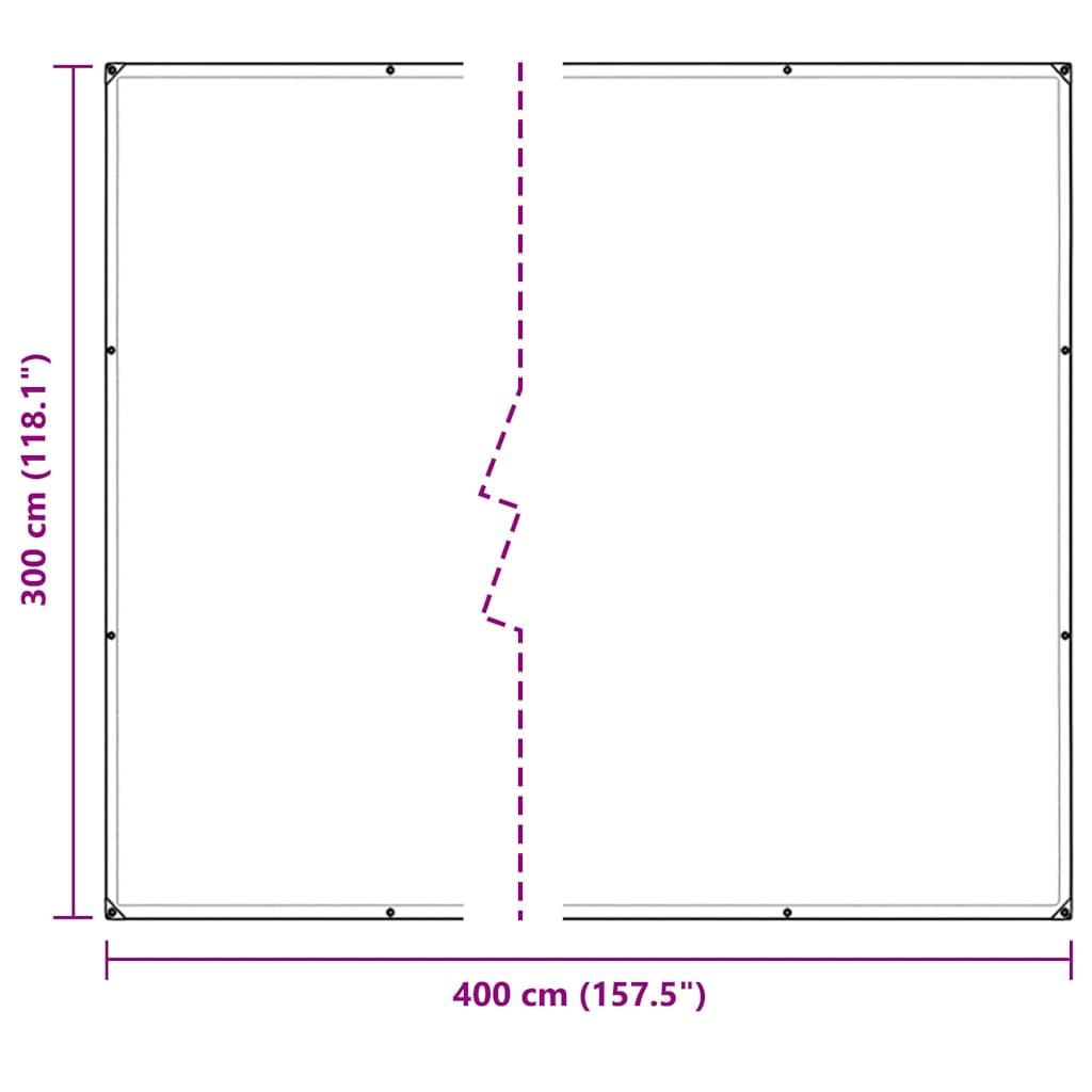 Doorzichtig zeildoek met zeilringen 3x4 m polyethyleen