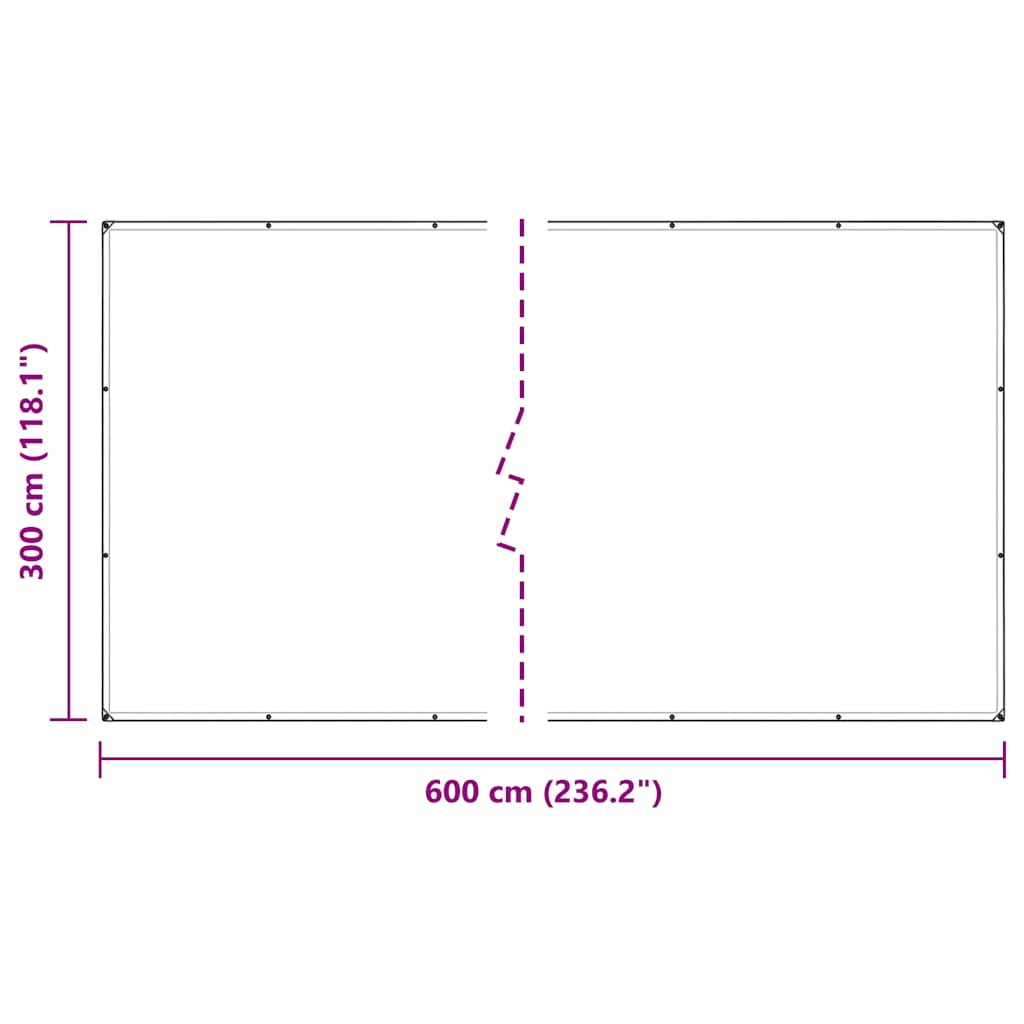 Doorzichtig zeildoek met zeilringen 3x6 m polyethyleen