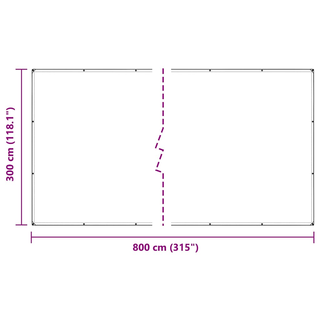 Doorzichtig zeildoek met zeilringen 3x8 m polyethyleen