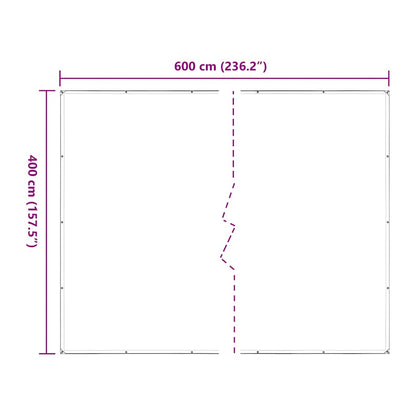 Doorzichtig zeildoek met zeilringen 4x6 m polyethyleen