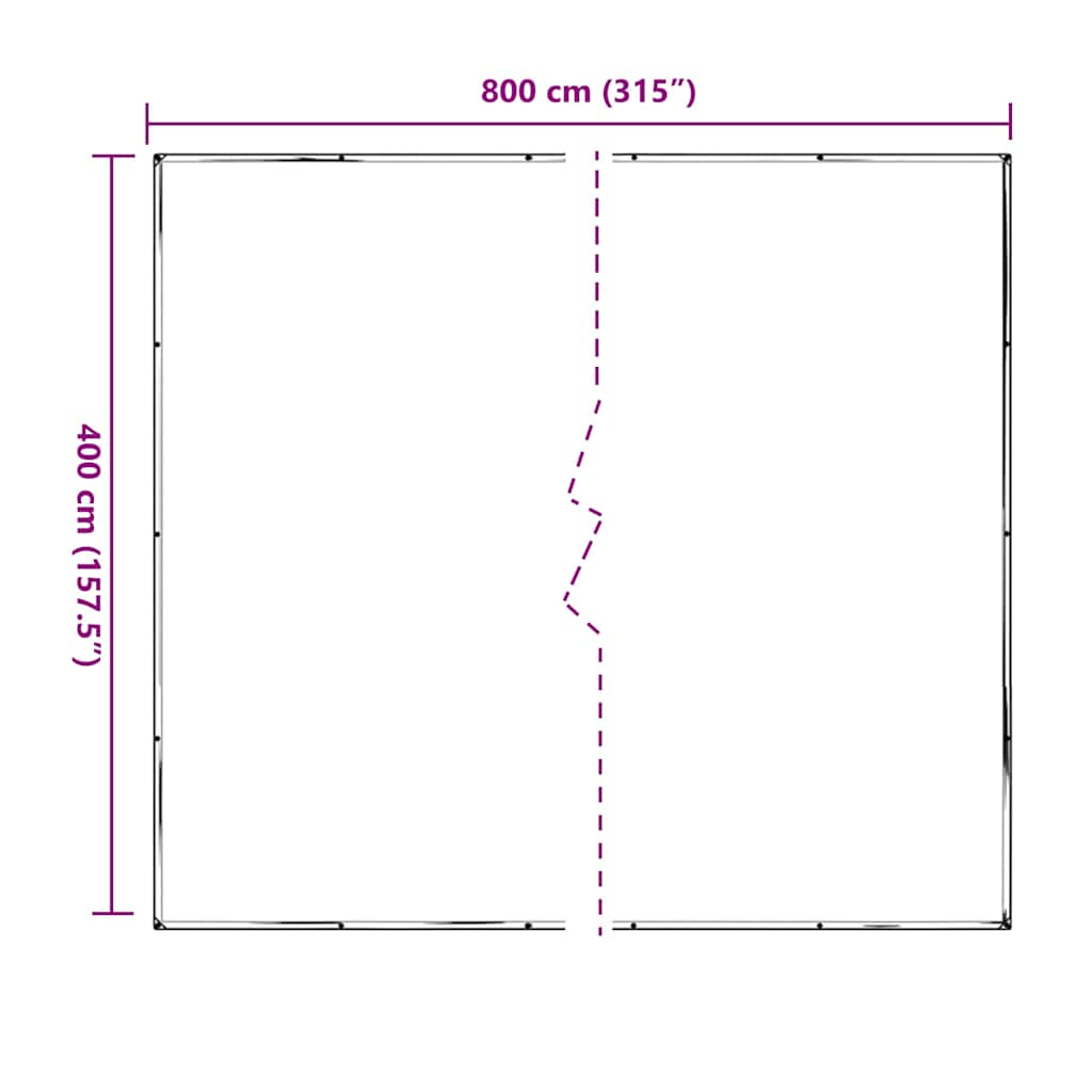 Doorzichtig zeildoek met zeilringen 4x8 m polyethyleen