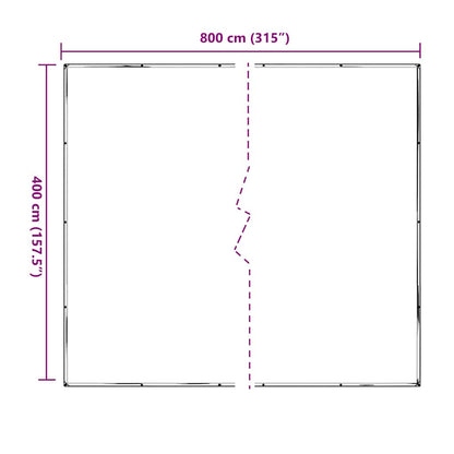 Doorzichtig zeildoek met zeilringen 4x8 m polyethyleen