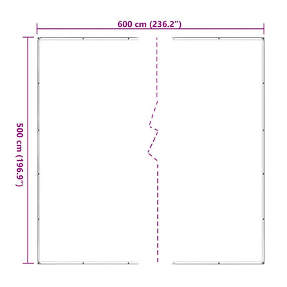 Doorzichtig zeildoek met zeilringen 5x6 m polyethyleen