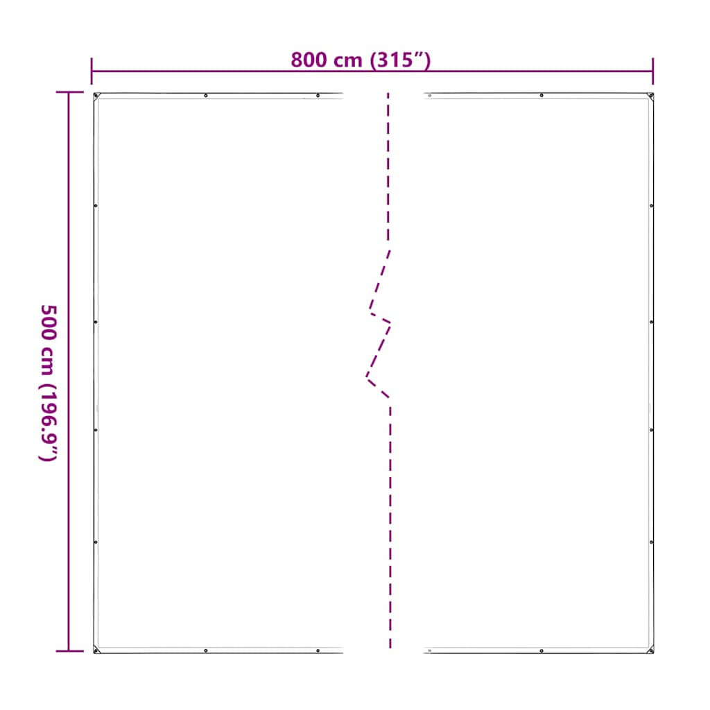 Doorzichtig zeildoek met zeilringen 5x8 m polyethyleen