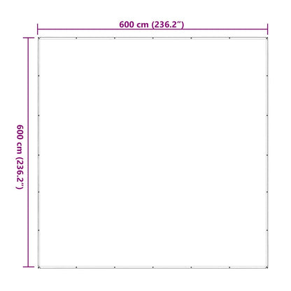 Doorzichtig zeildoek met zeilringen 6x6 m polyethyleen