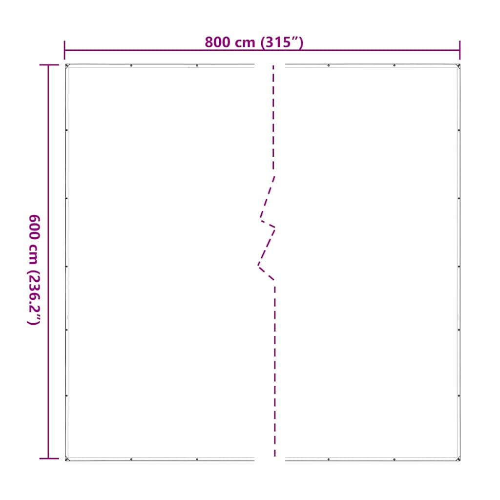 Doorzichtig zeildoek met zeilringen 6x8 m polyethyleen