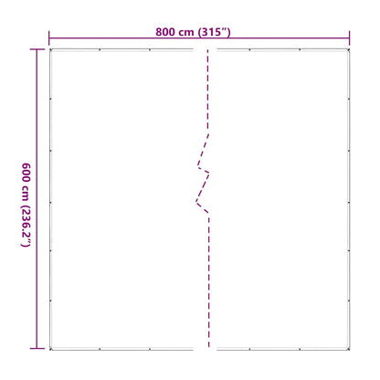 Doorzichtig zeildoek met zeilringen 6x8 m polyethyleen