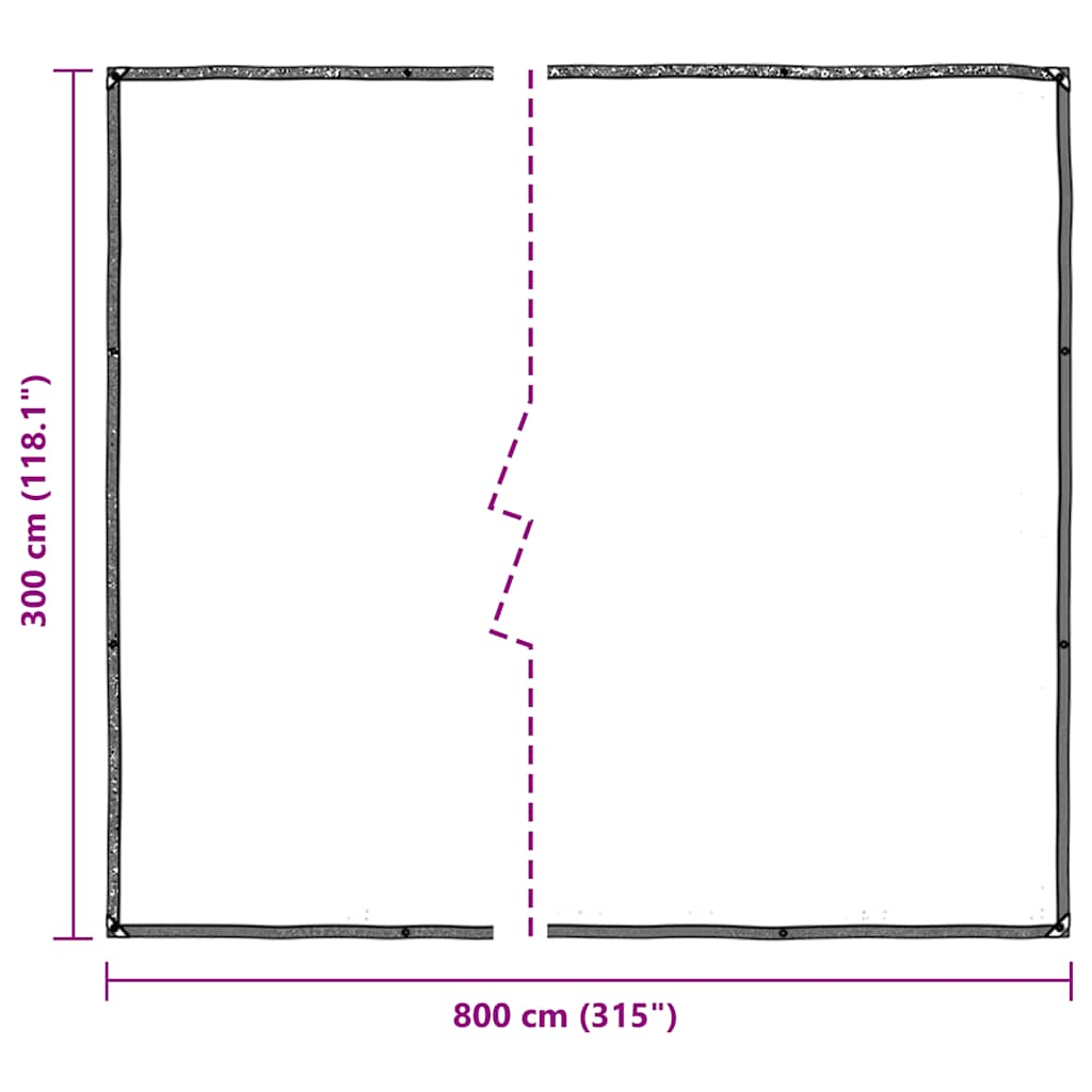 Doorzichtig zeildoek met zeilringen 3x8 m polyethyleen