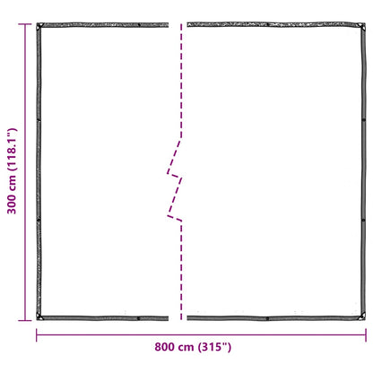 Doorzichtig zeildoek met zeilringen 3x8 m polyethyleen