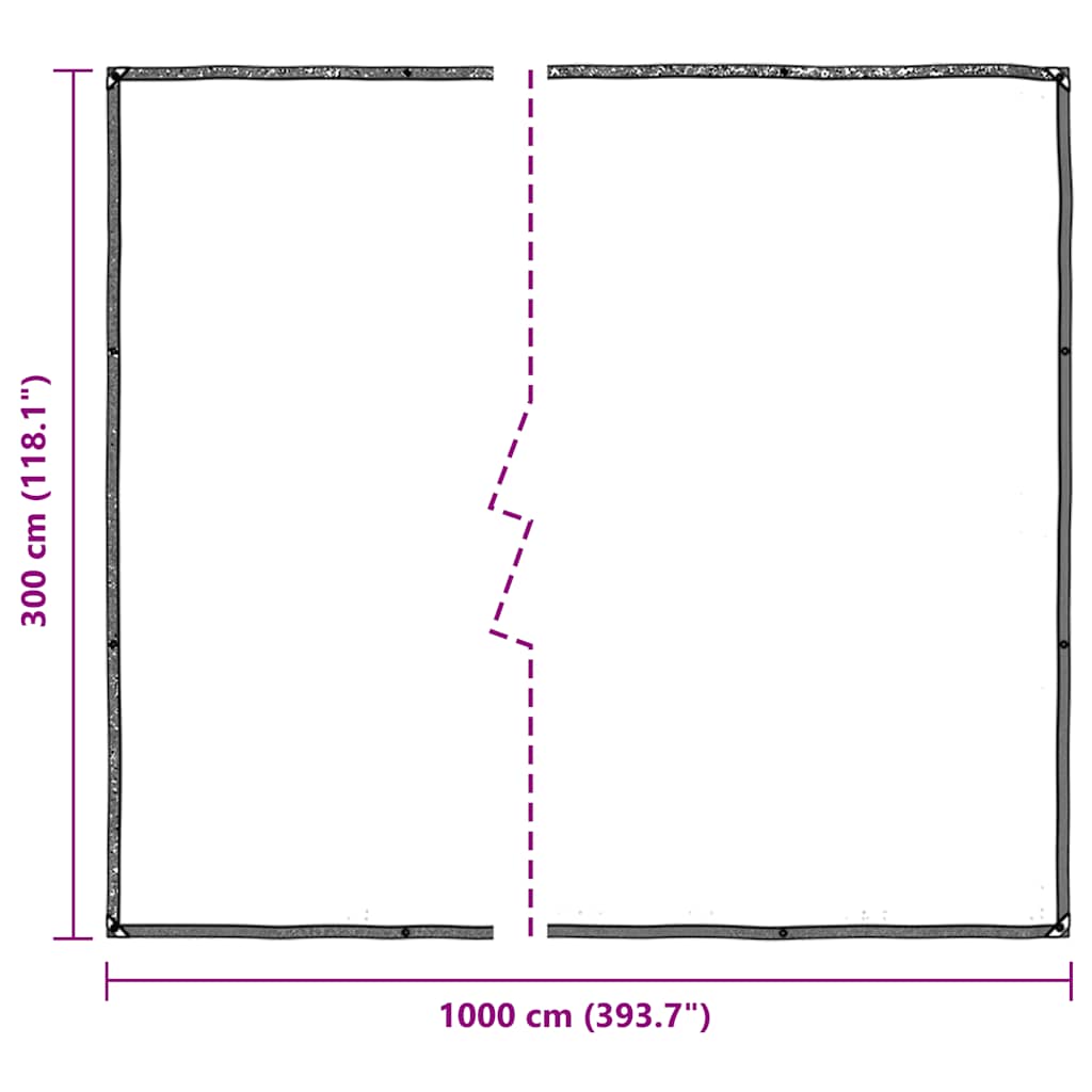 Doorzichtig zeildoek met zeilringen 3x10 m polyethyleen