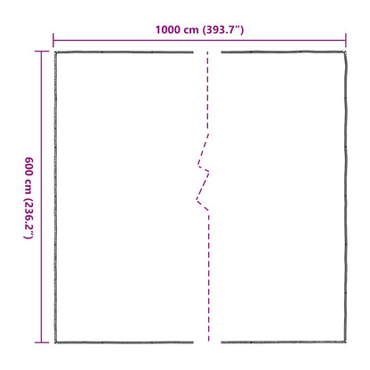 Doorzichtig zeildoek met zeilringen 6x10 m polyethyleen