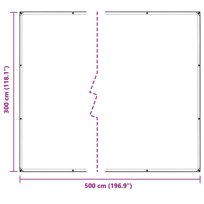 Doorzichtig zeildoek met zeilringen 3x5 m PVC