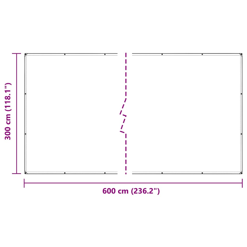 Doorzichtig zeildoek met zeilringen 3x6 m PVC