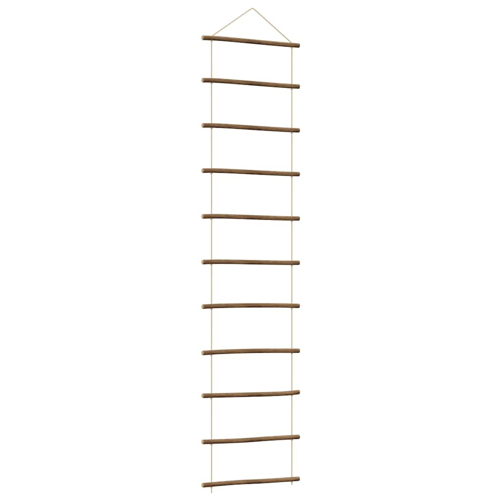 Wanddecoratie laddervormig 50x200 cm naturel tak