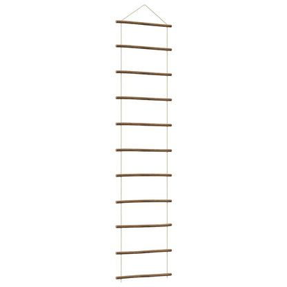 Wanddecoratie laddervormig 50x200 cm naturel tak