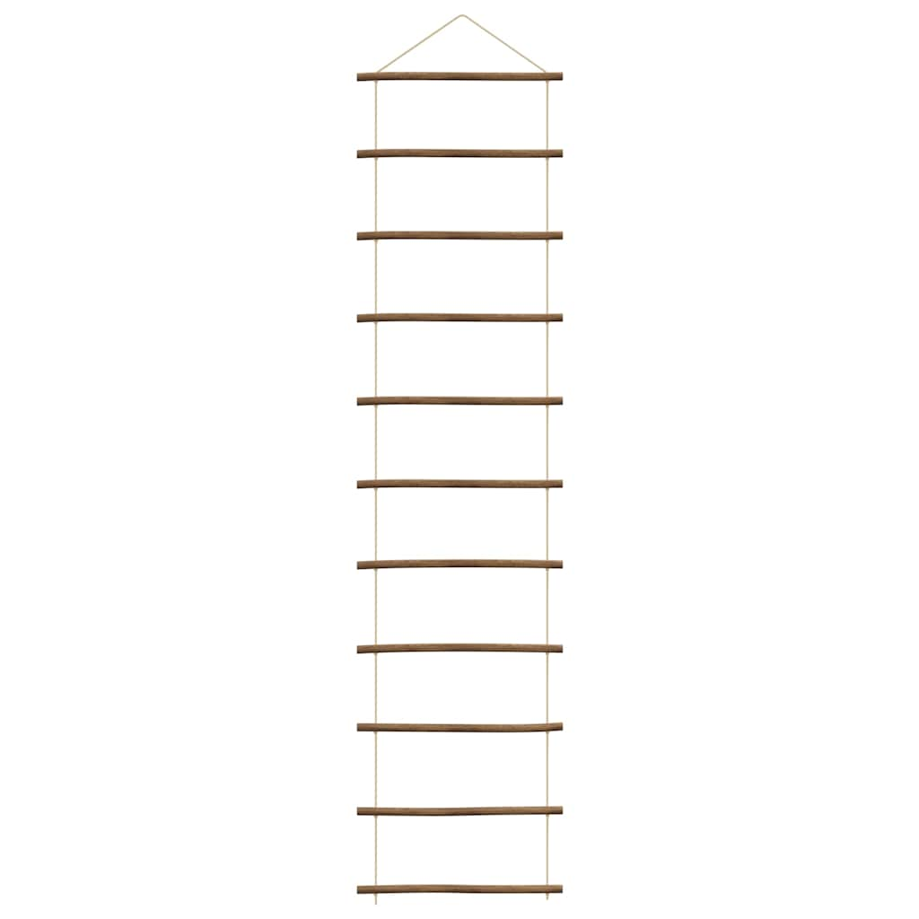 Wanddecoratie laddervormig 50x200 cm naturel tak